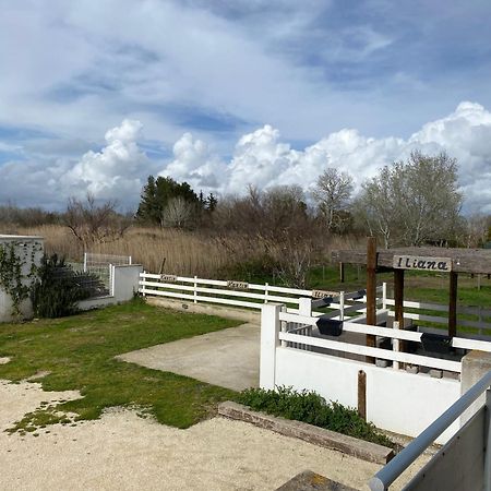 Les Maisons Du Paty Arles Exteriér fotografie